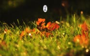 ϵĶʮĽ֮¶ƪ