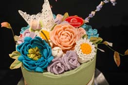 ��ʽ�ѻ�����