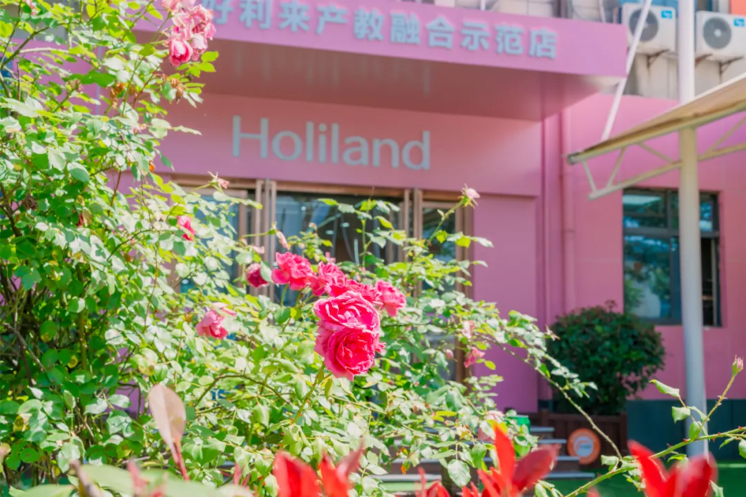 ¶⿼ѧУ2026괺£ƪ