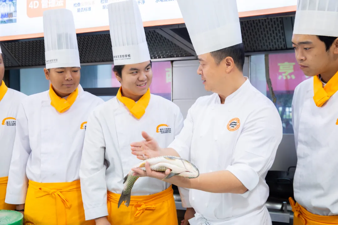 ¶⿼ѧУ2026괺£ƪ