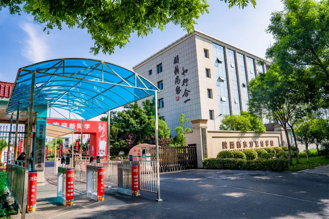 ¶⿼ѧУ2026괺£ƪ