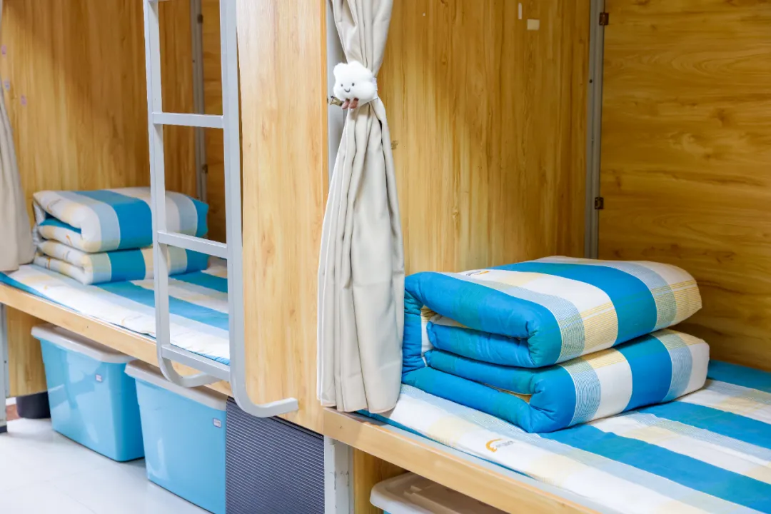 ¶⿼ѧУ2026괺£ƪ