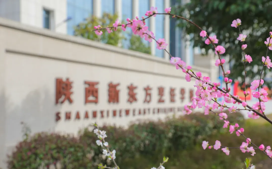 【双十二小吃新品推介会】来新东方吃“商机面”,和老师当面聊