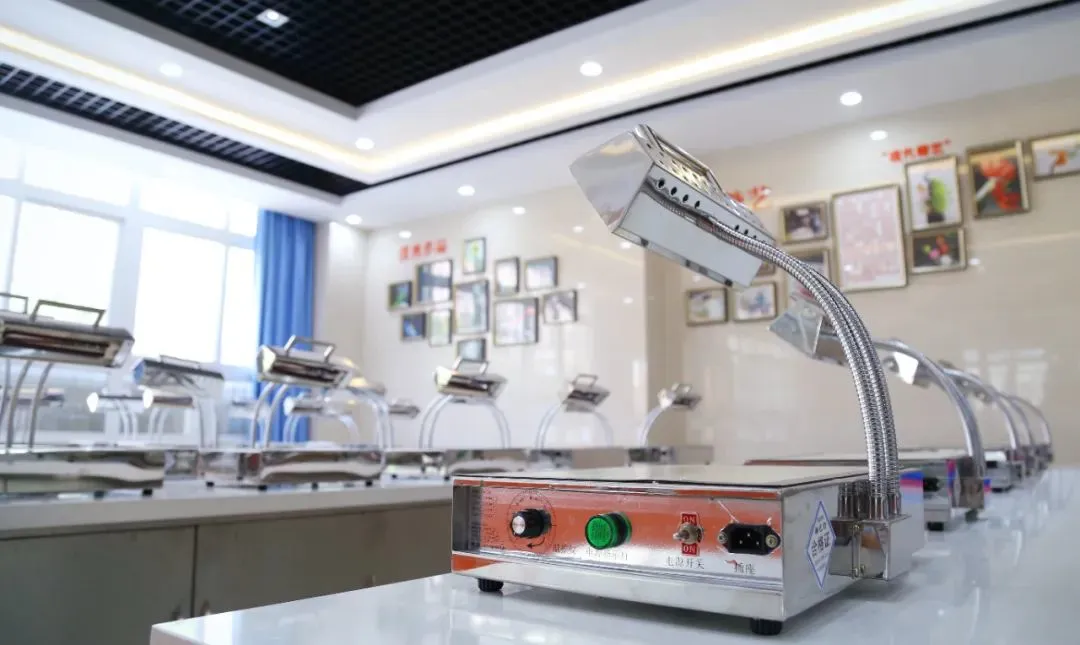 ���أ������¶���5D������Ϊʲô��ҵ����������������