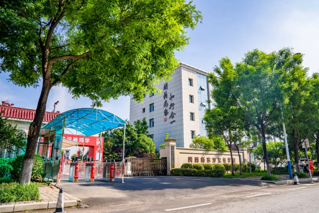 择校5大坑,多少家长后悔没早看!教你一眼看穿好学校