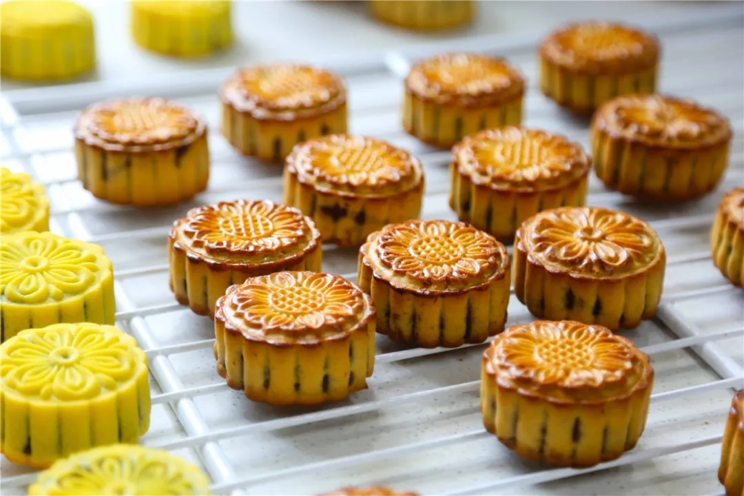 ��У԰������֮�⣬�ɳ��޽�����������¶�������һ��