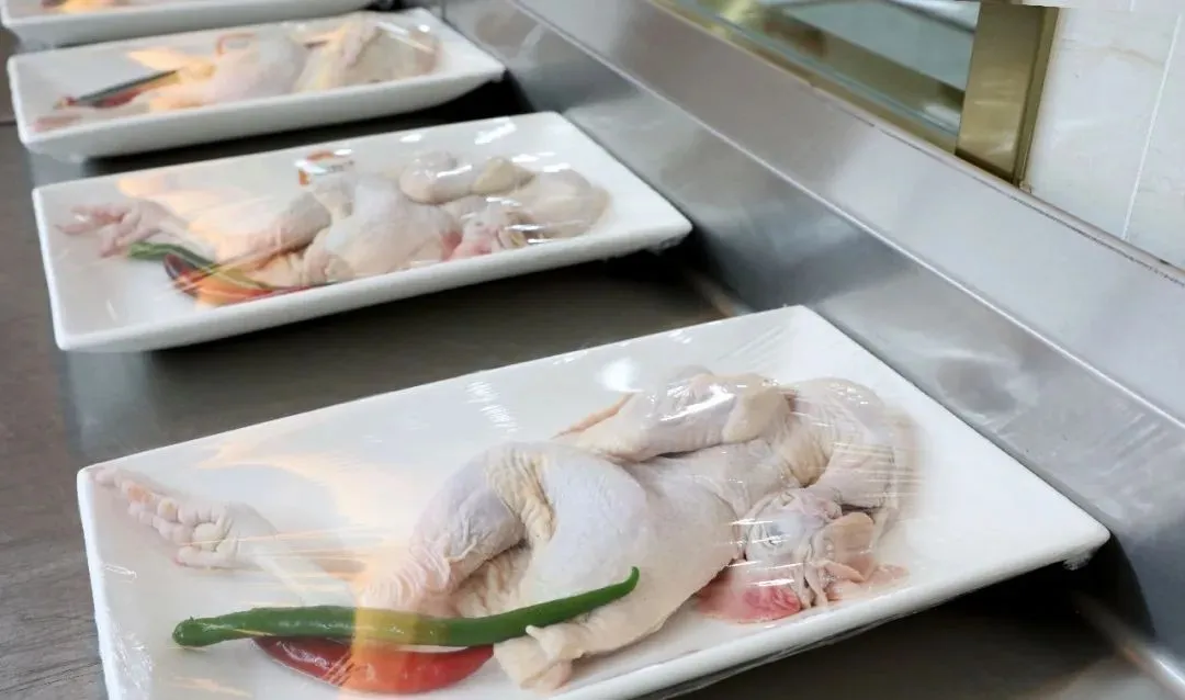 专业推荐|1+1行政总厨专业