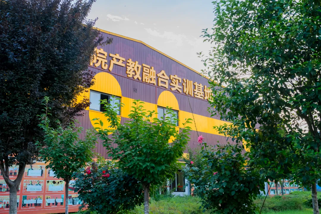 专业推荐|1+1行政总厨专业