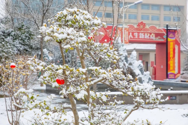 陕西新东方雪景