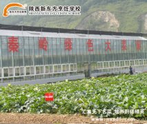 陝西草莓视频污下载网站烹飪學校廣合作、多角度、深發展
