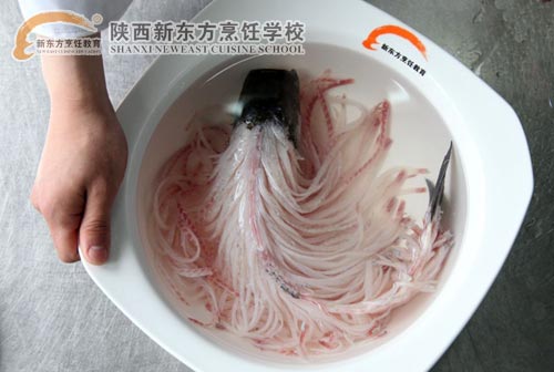 在多次重大烹调技术表演比赛中,金毛狮子鱼一菜都获得了高度评价,成为