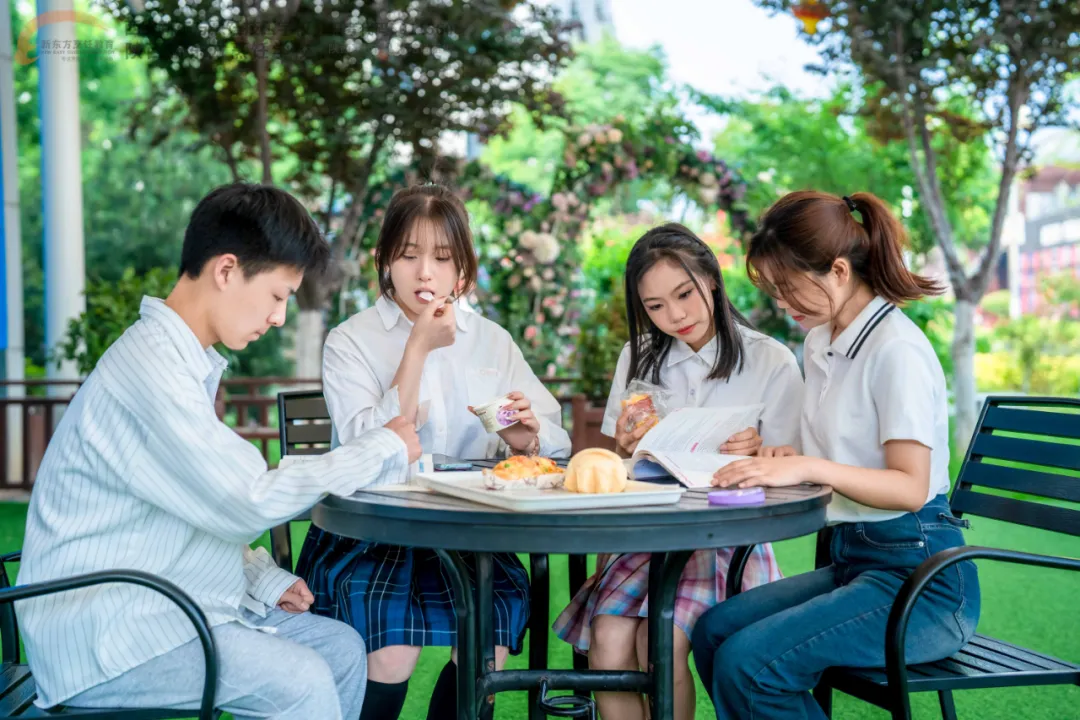 【单招冲刺・圆梦大学】西安新东方2026年单招冲刺班火热招生！助力学子攻克单招，顺利迈入理想院校！