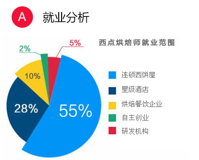 ���㾫Ӣרҵǰ��